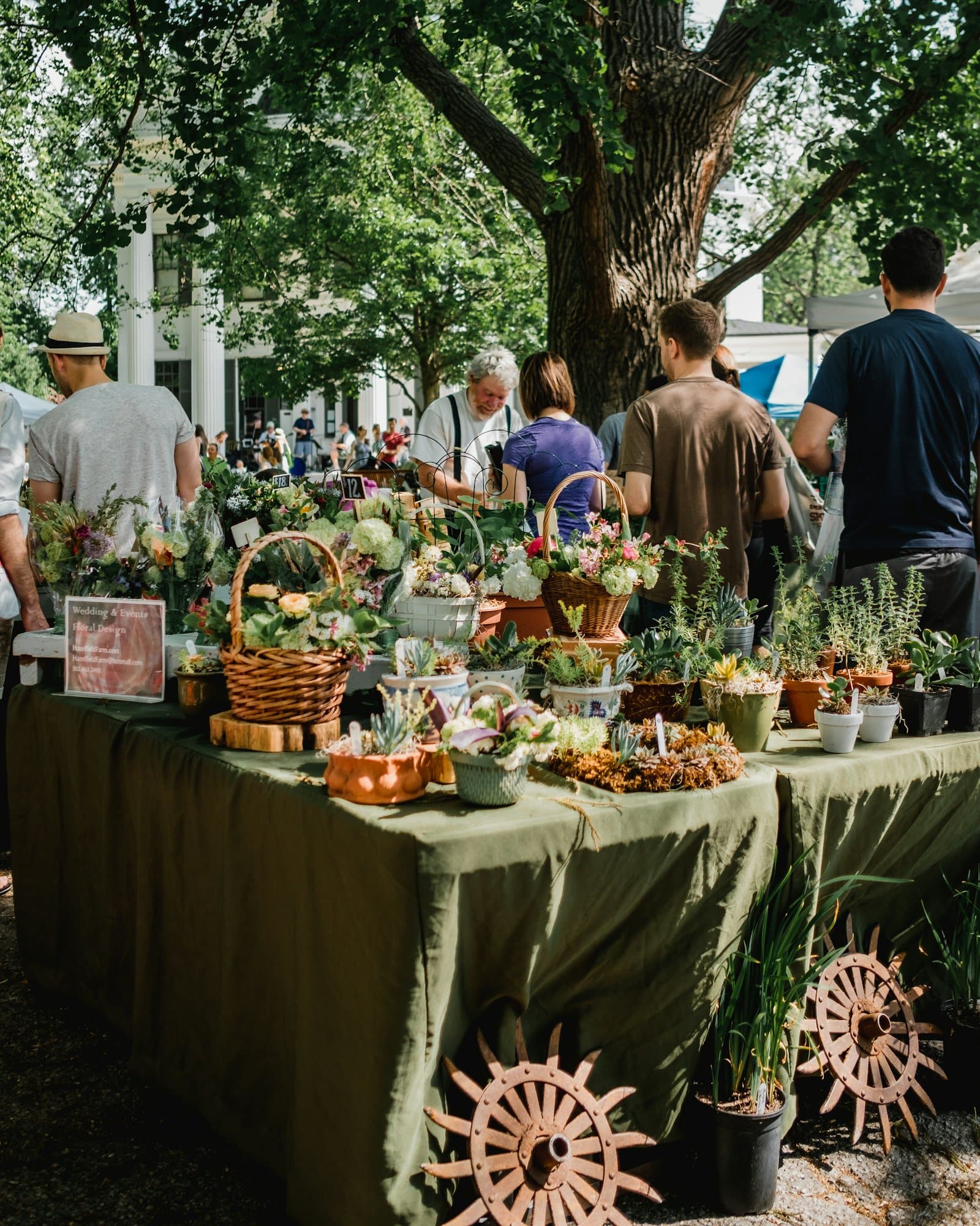 Stalls of plants and flowers at an outdoor community market